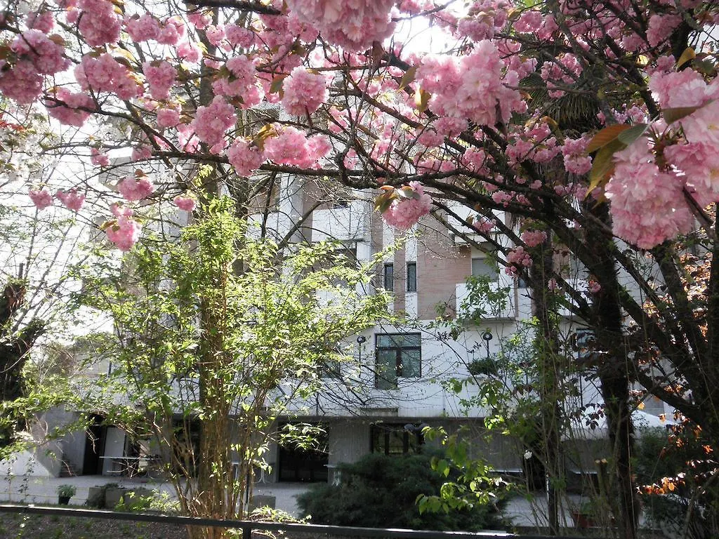 Park Hotel Castrocaro Terme 3*,